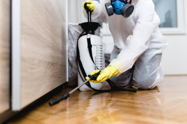 Best Pest Control Near Me  in Albion, IL