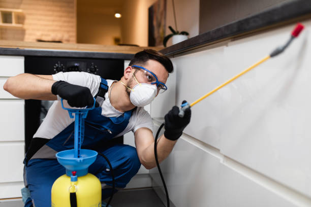 Professional Pest Control in Albion, IL