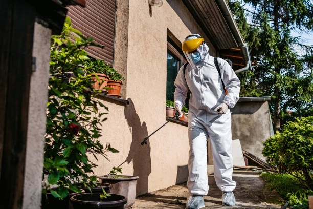 Best Pest Prevention Services  in Albion, IL