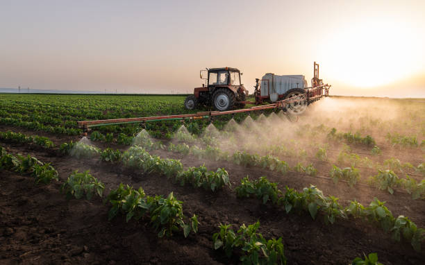 Best Ant Control Services  in Albion, IL