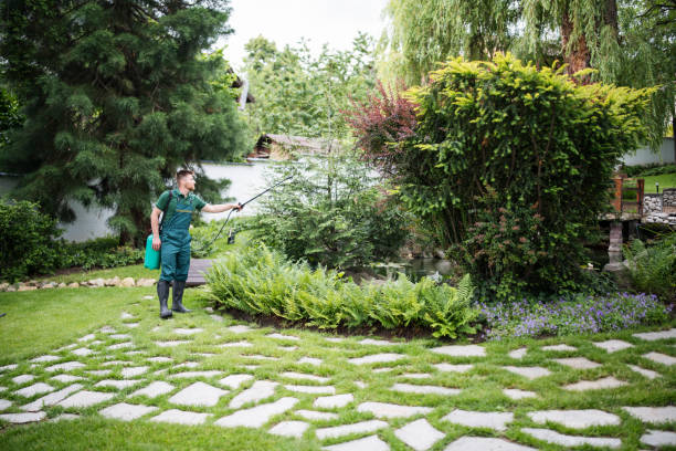 Best Pest Inspection Near Me  in Albion, IL