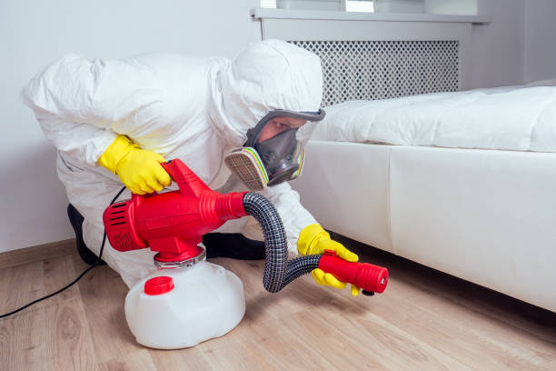 Best Best Pest Control Companies  in Albion, IL