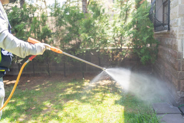 Best Wasp Removal Services  in Albion, IL