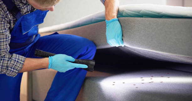 Wasp Removal Services in Albion, IL