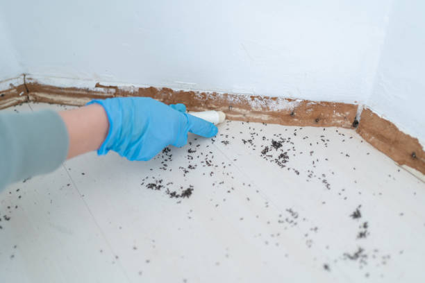 Best Wildlife Control Services  in Albion, IL