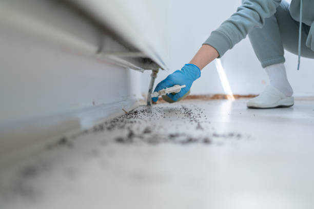 Best Exterminator Services  in Albion, IL