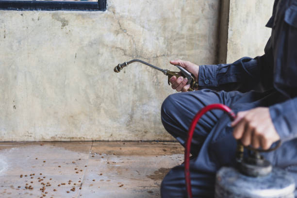 Best Flea Control Services  in Albion, IL